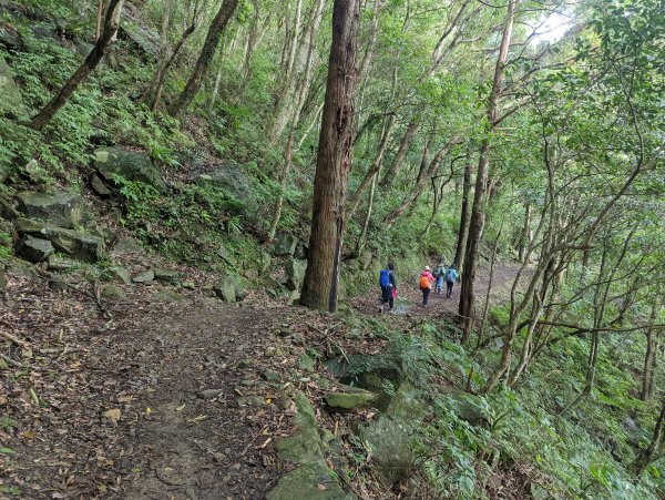 【百大必訪步道】東滿步道1520751