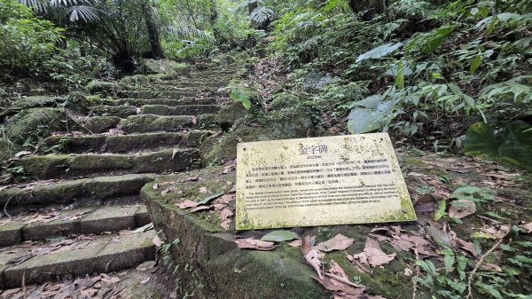 秋季品味古道與芒海的山行在猴硐牡丹山與金瓜石山2950975
