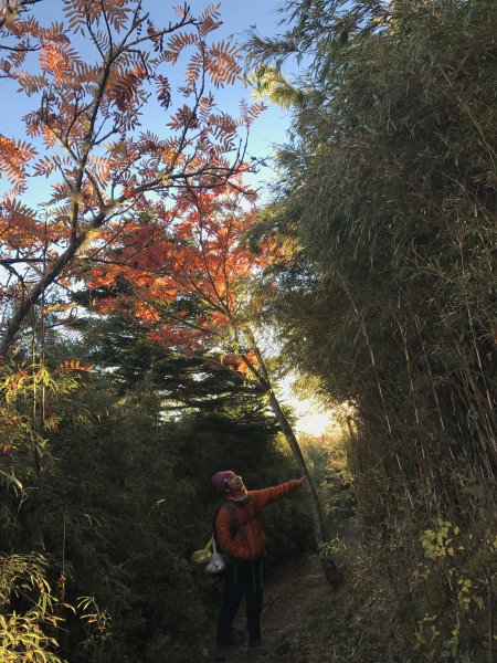 雪山 不下雪532976