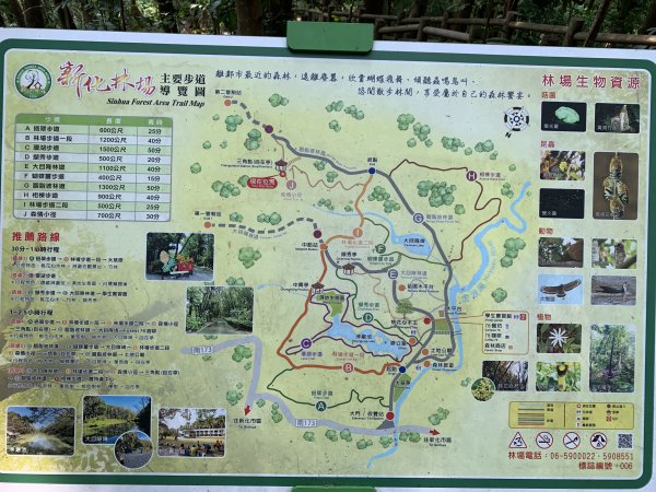 20250906台南糞箕湖山2881416