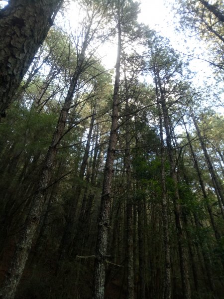 將軍廟上天鑾池+武法奈尾山1881037