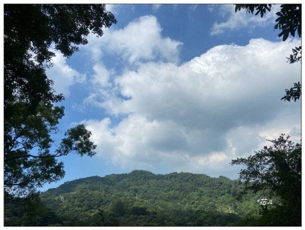 獅山五連峰 (猿山、六寮山、獅尾山、獅頭山、玖玖山)2871319