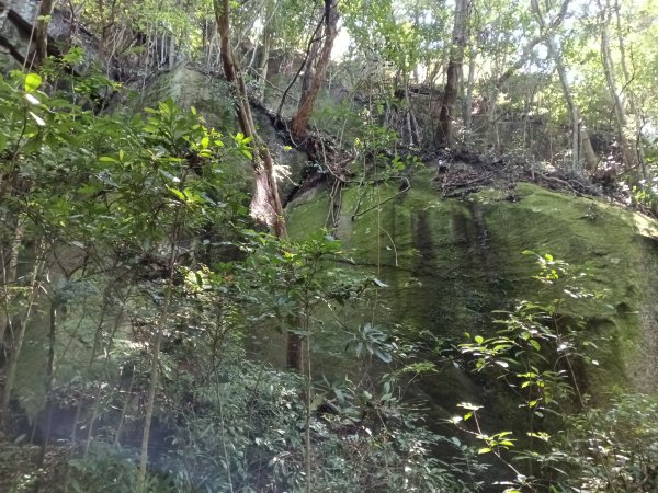 內湖區大丘田保甲路+開眼山+白石湖山+白石湖山東峰+大邱田山+消防山O型2858880