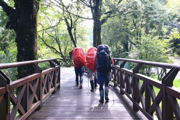 阿里山眠月線(石猴來回)640151