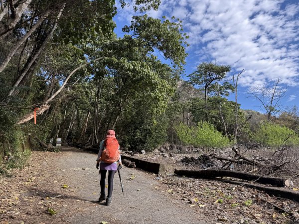 屋東縱走 202503012728977