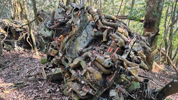 波鞍船稍G屋東2688233