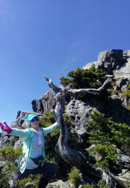 世紀奇峰大霸尖山、小霸尖山、伊澤山、加利689878