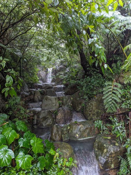 2023-12-23 臺北大縱走第二段2793127