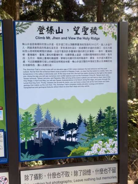 觀霧森林遊樂區（榛山及檜山巨木步道）3060125