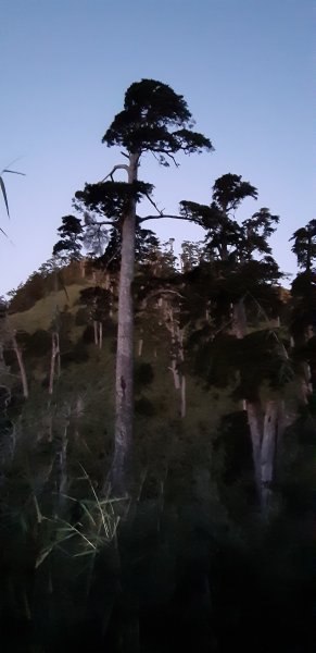 白姑大山之旅743531