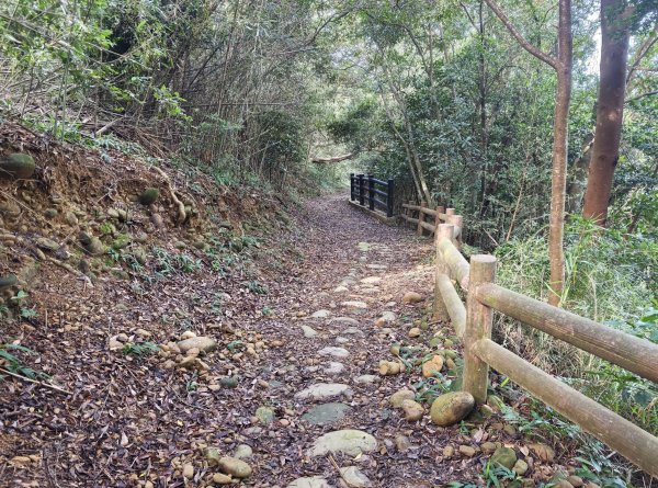[皮皮獅動物派對-03/10] 2026_0822 石光古道(老虎山步道)3120814