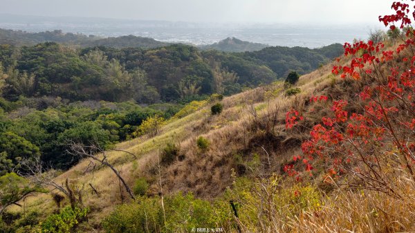【台灣健行】在紅土之巔，與風交換呼吸的節律 - 大肚山越野封面