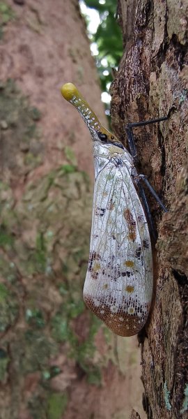 2025/10/24_明德水庫湖濱步道2925665