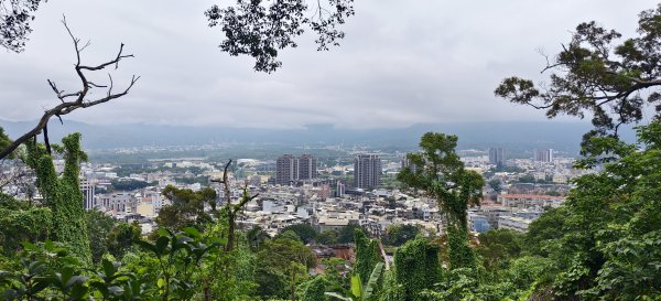 2026/05/10 竹東森林公園步道+樹杞林山O型3052519