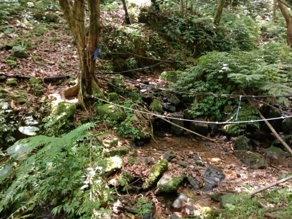 雙溪區柑腳城威惠廟+柑腳城山(下坑山)去回2796657