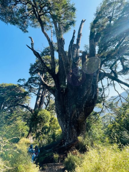 1140404二訪～塔關山2754063