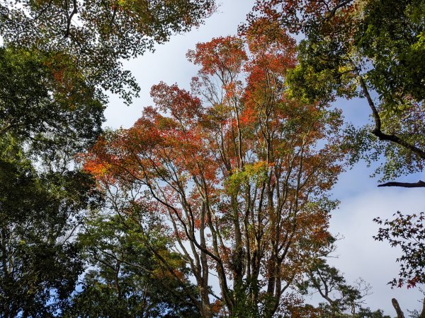 馬那邦山細道邦山1548163