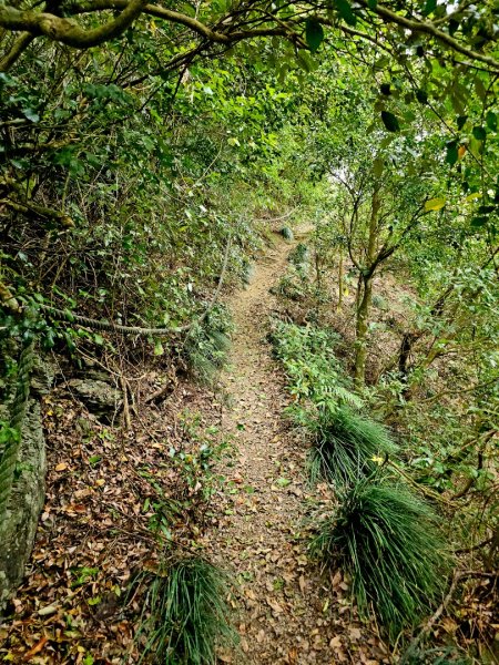 女仍山-小百岳#79-屏東縣獅子鄉2732095