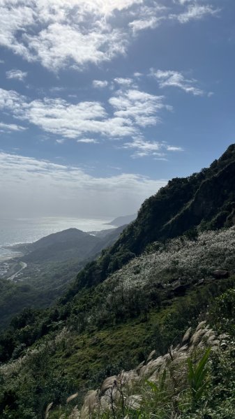 2025草嶺古道2970596