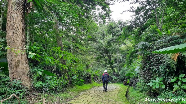 《南投》鳥園瀑布｜鳳凰谷鳥園園區步道&石馬公園202310142315640