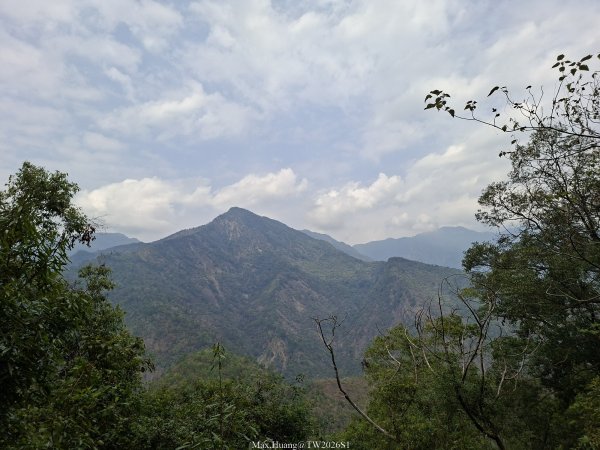 《南投》松濤徐徐｜惠蓀林場關刀山林道上巨松台環山嵐小徑202603213021371