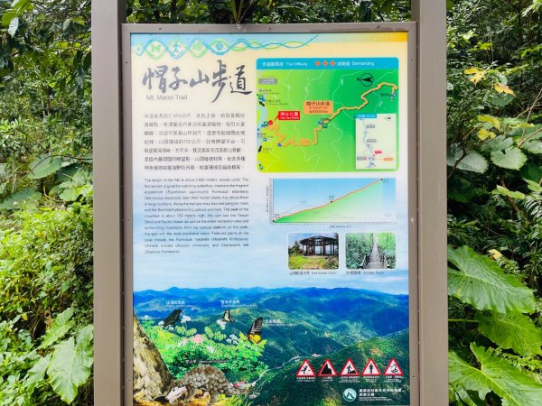 1150124帽子山。25落山風藝術季。2987177