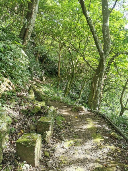 獅頭山風景區 - 漫步參山步道1023026