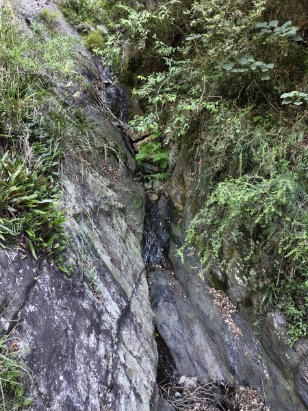 [玉山尋寶任務-07/12] 2025_0824 八通關雲龍瀑布步道2870603
