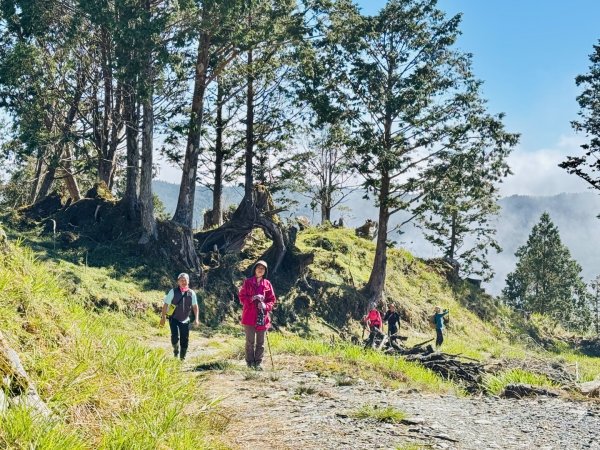 三星山(小百岳#85) 鳩之澤溫泉煮蛋趣2952826