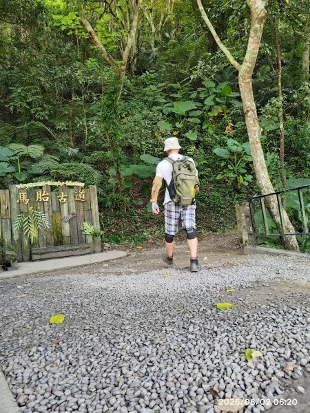 馬胎古道南坪古道3094308