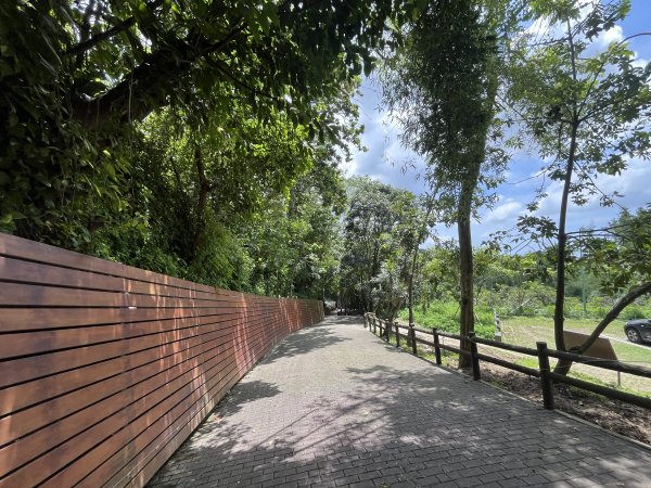 [百山百鳥尋旅-03/15] 2025_0817 虎形山公園步道2863112