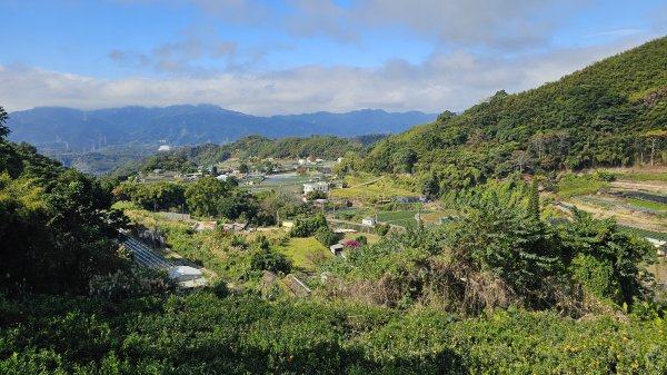 【馬年走馬山，馬到就成功！】🐴馬年馬路要走，馬那邦🏔️也要登！O繞11K，爬升900M，🥾腿在2977206