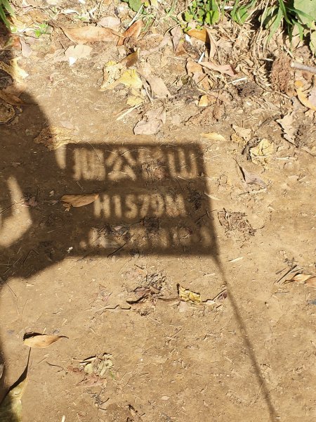 1121120鵝公髻山2355238