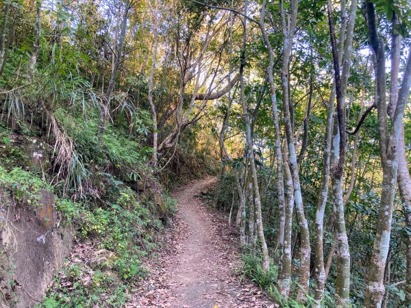 九份二山登山步道2688023