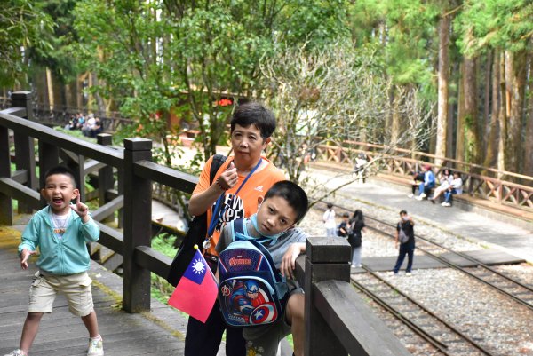 20251011追公車搭公車阿里山漫遊2910926