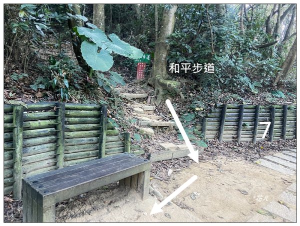 軍功寮山、大坑9、7、6、9-1步道 O型一圈2950810