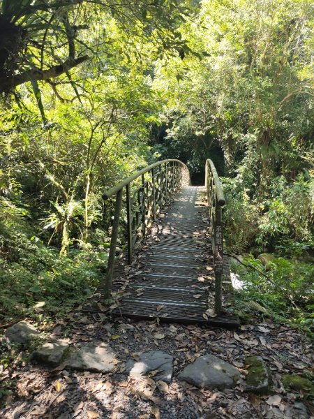 九寮溪自然步道2867197