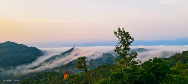 石碇趴趴走追雲趣 #二格山 #雲瀑 #藍腹鷴母鳥 #雲海流瀑 #霧虹 5/172788218