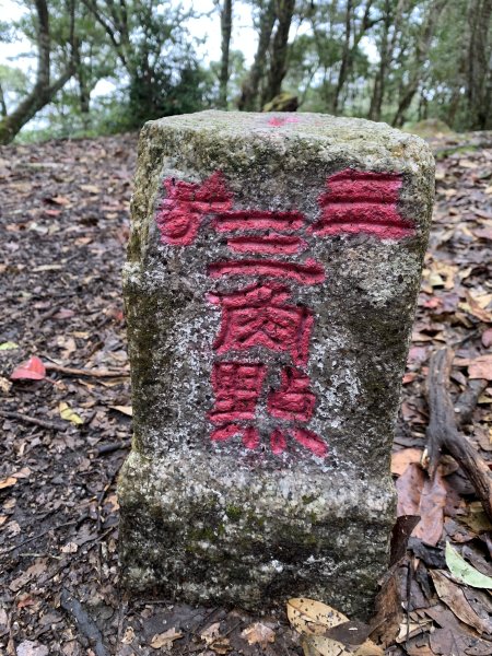 20251220嘉義凸龜山-芙蓉山-天福山2973777