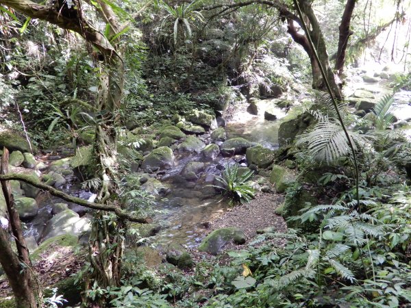 南坪古道+馬胎古道O型967791