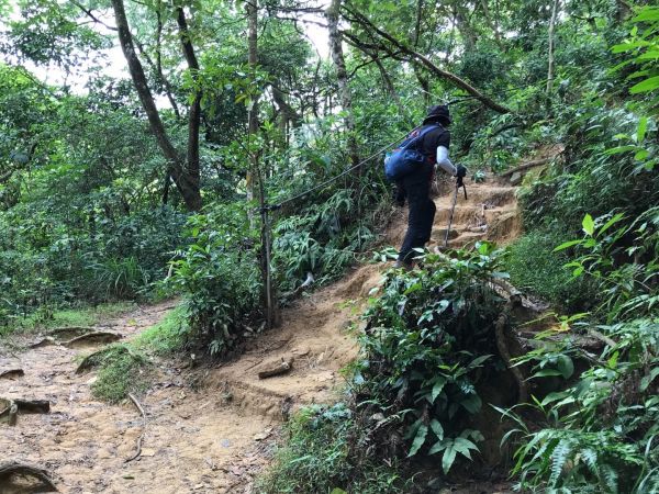 飛鳳山觀日坪連走中坑山388267