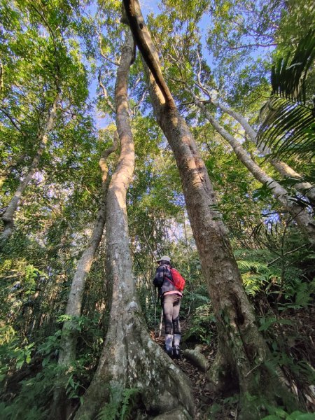 2024.02.01 凌空廊道登煤源山2843943