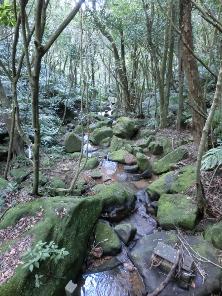 大崙頭尾山92940