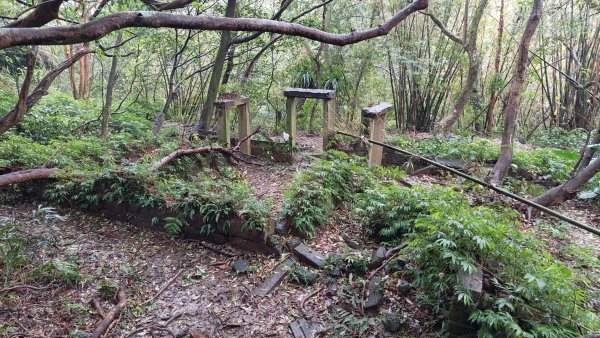 陽明山後花園，百年靜美牧牛山徑，古道草原精華連走2787723