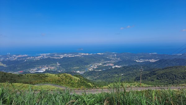 《老鷹怎麼這麼多》五分山_小百岳#101146510