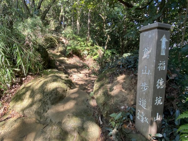 2025微笑山線大縱走尋寶集章任務-Ep.03【鳶山山系】鳶山彩壁段2893657