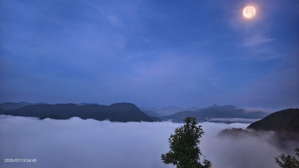 跟著雲海達人山友追雲趣 #月光雲海 #曙光雲海 #日出雲瀑 7/132834967
