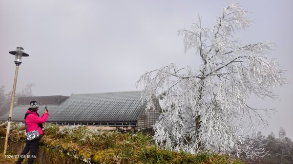 #霧淞 #雲海 #雲瀑 #霧虹 #太平山 #望洋山 #觀雲步道 #翠峰道路  2/82995377