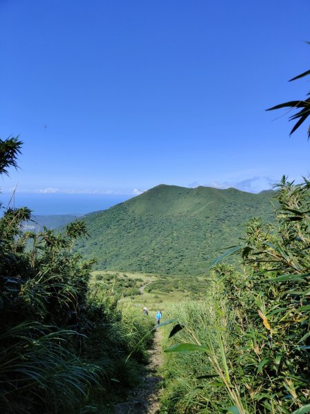 2023.09.09 大屯山主峰步道2481764