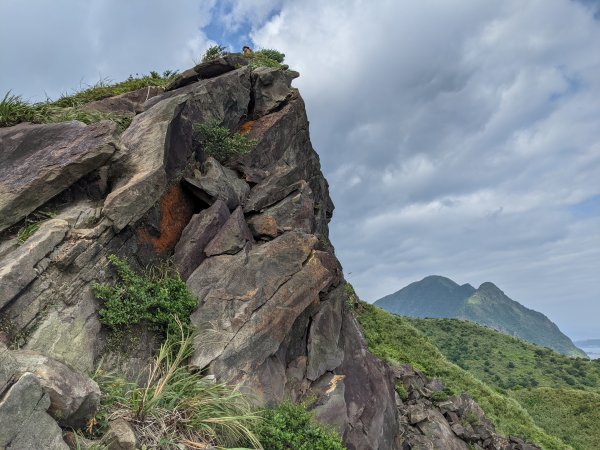 劍龍稜無耳茶壺山1468083